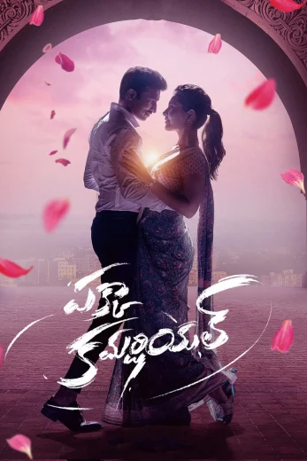 Pakka Commercial Af Somali