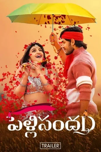 PellisandaD Af Somali