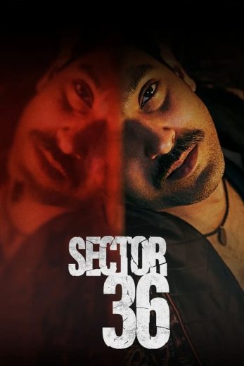 Sector 36 2024 Af Somali