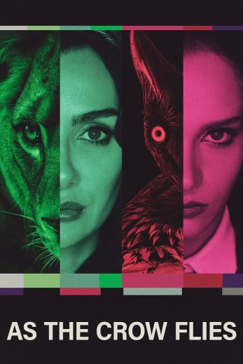 Kus Uçusu Season 2