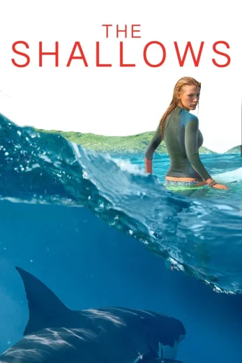 The Shallows 2016 Af Somali