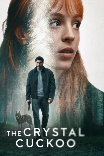 The Crystal Cuckoo 2025 Af Somali