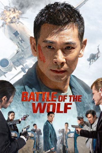 Battle of the Wolf 2025 Af Somali