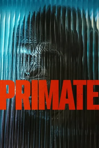 Primate 2025 Af Somali